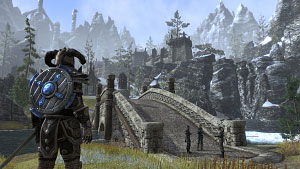The Elder Scrolls Online Screen