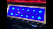 Why is there a display case full of shiny and glowy slimes? Why not?