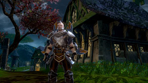 Kingdoms of Amalur: Reckoning Screen