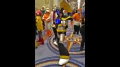 MAGFest 12 Photo