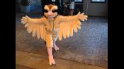 MAGFest 12 Photo