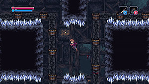 Chasm