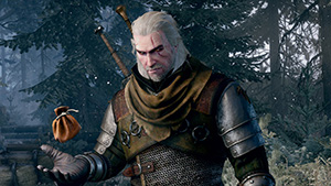 The Witcher 3: Wild Hunt