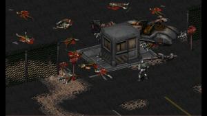 Fallout