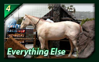 Everything Else
