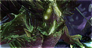Guild Wars 2 - Season 2