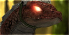 NAtURAL DOCtRINE